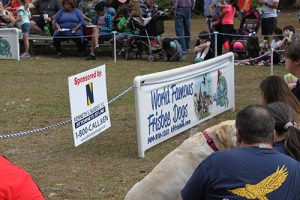 azalea fest 7 |