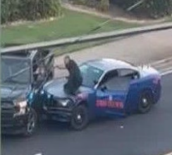 Police On Hood |